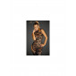 Mini robe Divalicious|Lingerie et Vêtement Femme|NatureCoquine