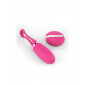 Oeuf vibrant télécommandé Secret Delight|Oeufs Vibrants|NatureCoquine