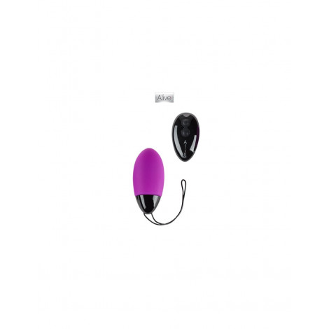 Magic Egg Max|Oeufs Vibrants|NatureCoquine