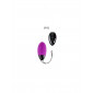 Magic Egg Max|Oeufs Vibrants|NatureCoquine