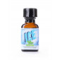 Poppers Ice aromatisé menthe 24ml|Poppers|NatureCoquine