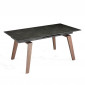 Table de Repas Extensible "Aloda" 180-230cm Noir|Table|Paris Prix