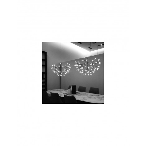 Lustre Heracleum|Suspensions|Kiki Lighting