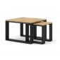 Donnely - lot de 2 tables basses - bois et noir - 60 et 38 cm|Table Basse|BestMobilier