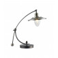 Lampe de table Classic Verre,métal Bronze 1 ampoule 44,2cm|Lampes à poser|Luminaire Center