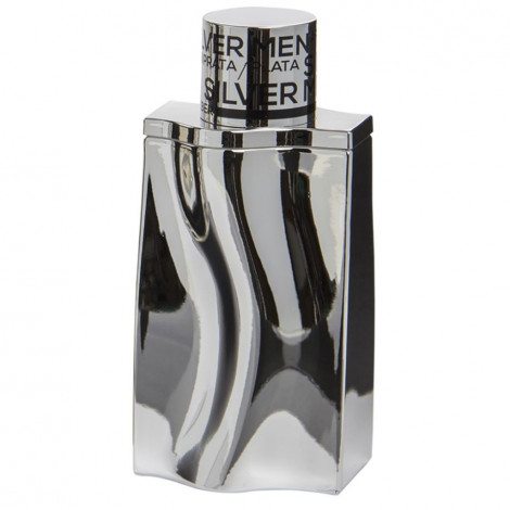 Georges Mezotti - Eau de toilette Homme - Silver Men - 100ml|Parfum Homme|FolieCosmectic