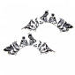PAPERSELF - Faux cils - Bird|Yeux|FolieCosmectic