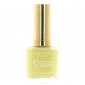 Easy Paris - Vernis à ongles jaune pastel effet gel n°114 - 13ml|Ongles|FolieCosmectic
