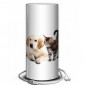 Lampe photo chien et chat|Lampes à poser|Lampe Avenue Lampe photo chien et chat|Lampes à poser|Lampe Avenue