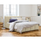 Elysia - lit coffre - 180x200 - en velours - sommier inclus|Lit Adulte|BestMobilier
