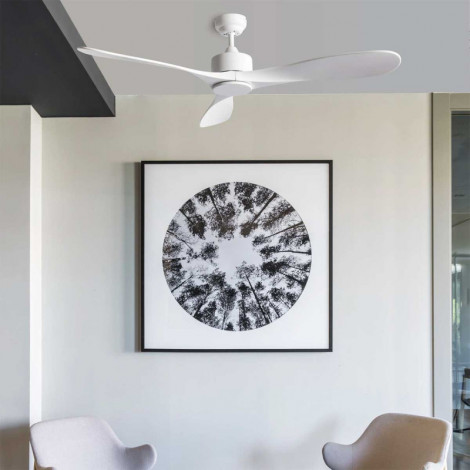 Ventilateur de plafond Luzon blanc|Plafonnier|Lampe Avenue