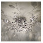 Plafonnier chromé cristal Aiken télécommande|Plafonnier|Kosilum