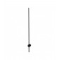 Applique LED intégré Essence Métal Noir 1 ampoule 7cm|Appliques murales|Luminaire Center