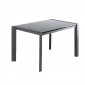 Table extensible 120 à 180 cm plateau verre gris et piétement acier - MYSTIC|Table|Meuble et moi