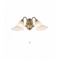 Applique Hardwick, laiton antique et verre, 2 ampoules|Appliques murales|Luminaire Center