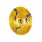 Applique murale design LUNA Or 24 Carats 1 ampoule Diamètre 62 Cm Or Kiss|Appliques murales|Luminaire Center
