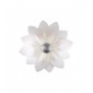 Applique murale Fiore 6 ampoules Feuille d'argent|Appliques murales|Luminaire Center
