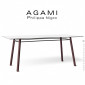 Table repas ou bureau rectangulaire design AGAMI, piétement bois de hêtre vernis, plateau compact unicolore pour intérieur.|Table|100chaises