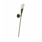 Applique murale Wall Verre Scavo,acier Marron 1 ampoule 87cm|Appliques murales|Luminaire Center