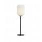 Lampe de table globe Cava Métal Noir 1 ampoule 55cm|Lampes à poser|Luminaire Center