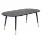 Table Basse Ovale "Dipp" 120cm Noir|Table Basse|Paris Prix