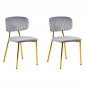 Lot de 2 Chaises en Velours "Kian" 80cm Gris|Chaise|Paris Prix