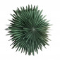 Lampe Suspension Design "Selen" 60cm Vert|Suspensions|Paris Prix