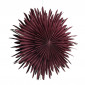 Lampe Suspension Design "Selen" 60cm Rouge Foncé|Suspensions|Paris Prix