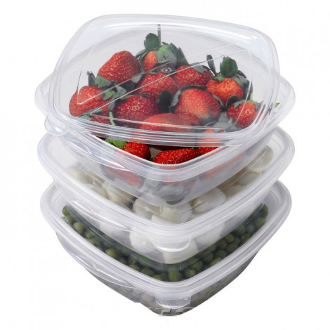 Lot de 3 Boîtes de Conservation "Hermé" 1,2L Transparent|Conservation|Paris Prix