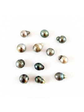 Lot de 12 perles de Tahiti