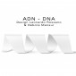 Banc d'attente design ADN-DNA, trois places aux formes hélicoïdales en multiplis de bois de Hêtre, finition peinture au choix.|Banquettes / Bancs / Poufs|100chaises