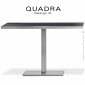 Table restauration QUADRA, piétement colonne centrale inox ou chromé, plateau rectangulaire stratifié chant inox ou chromé.|Table|100chaises